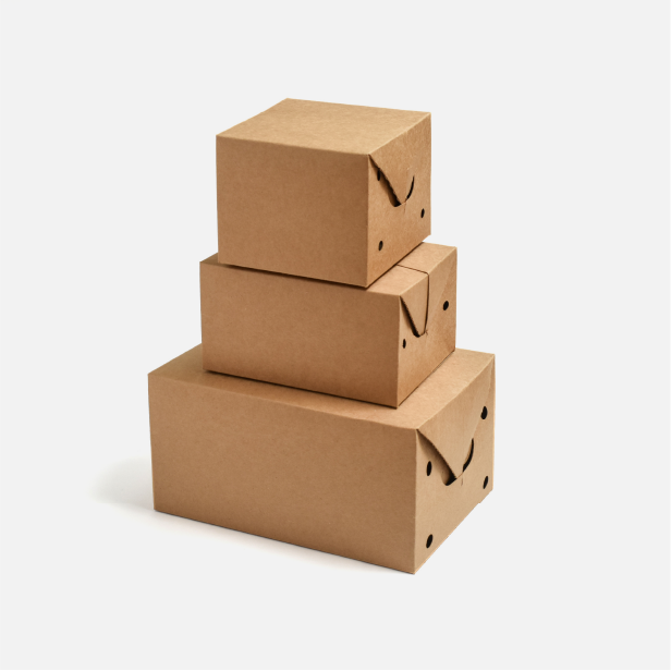 Estructura de material Bio-Box